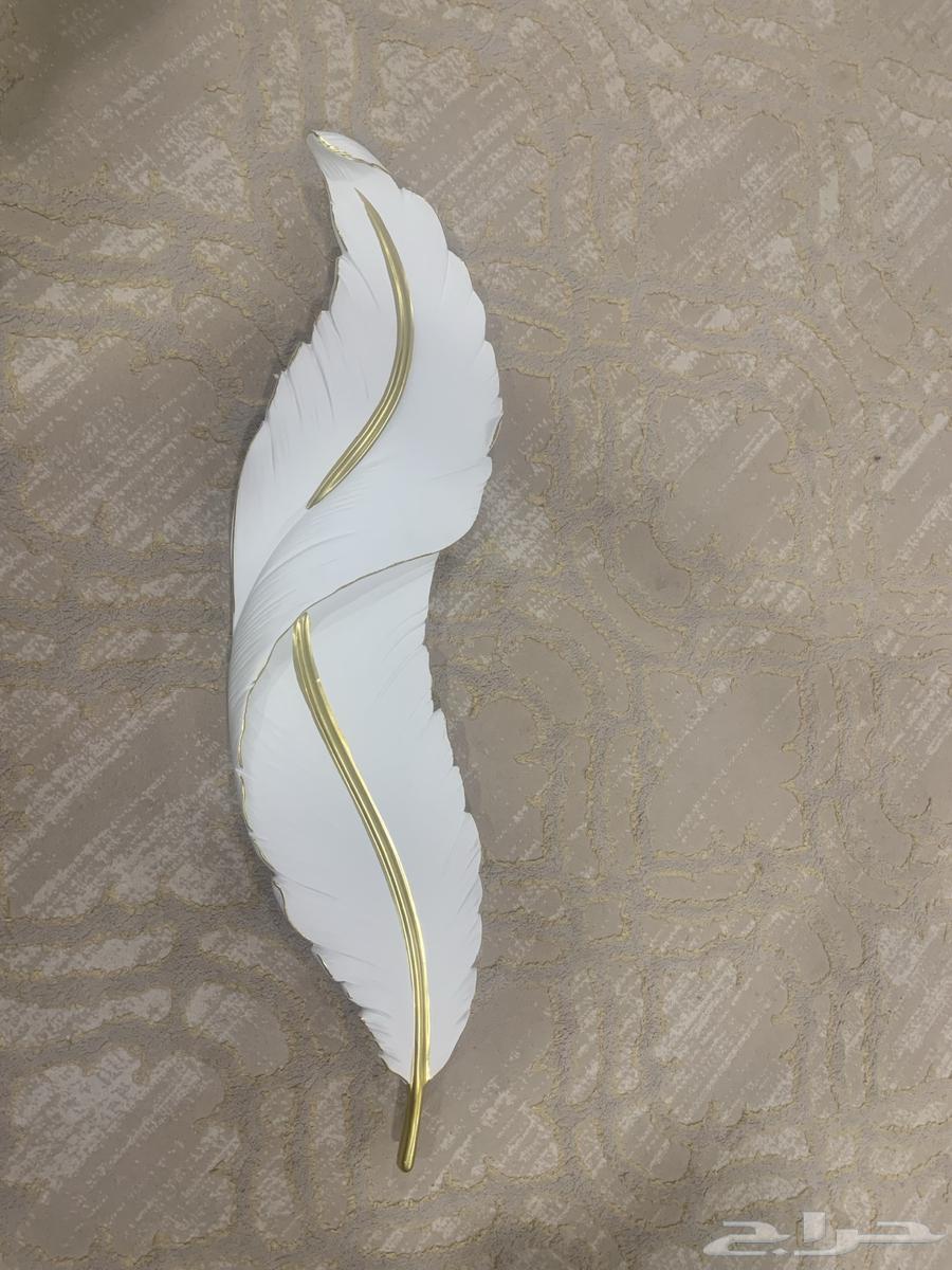 لنبه ريشه كهرباء64477129751810111