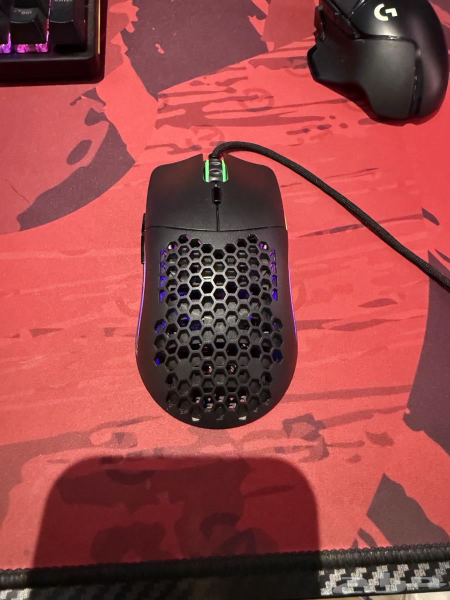 Gloris Mouse64474987894146113