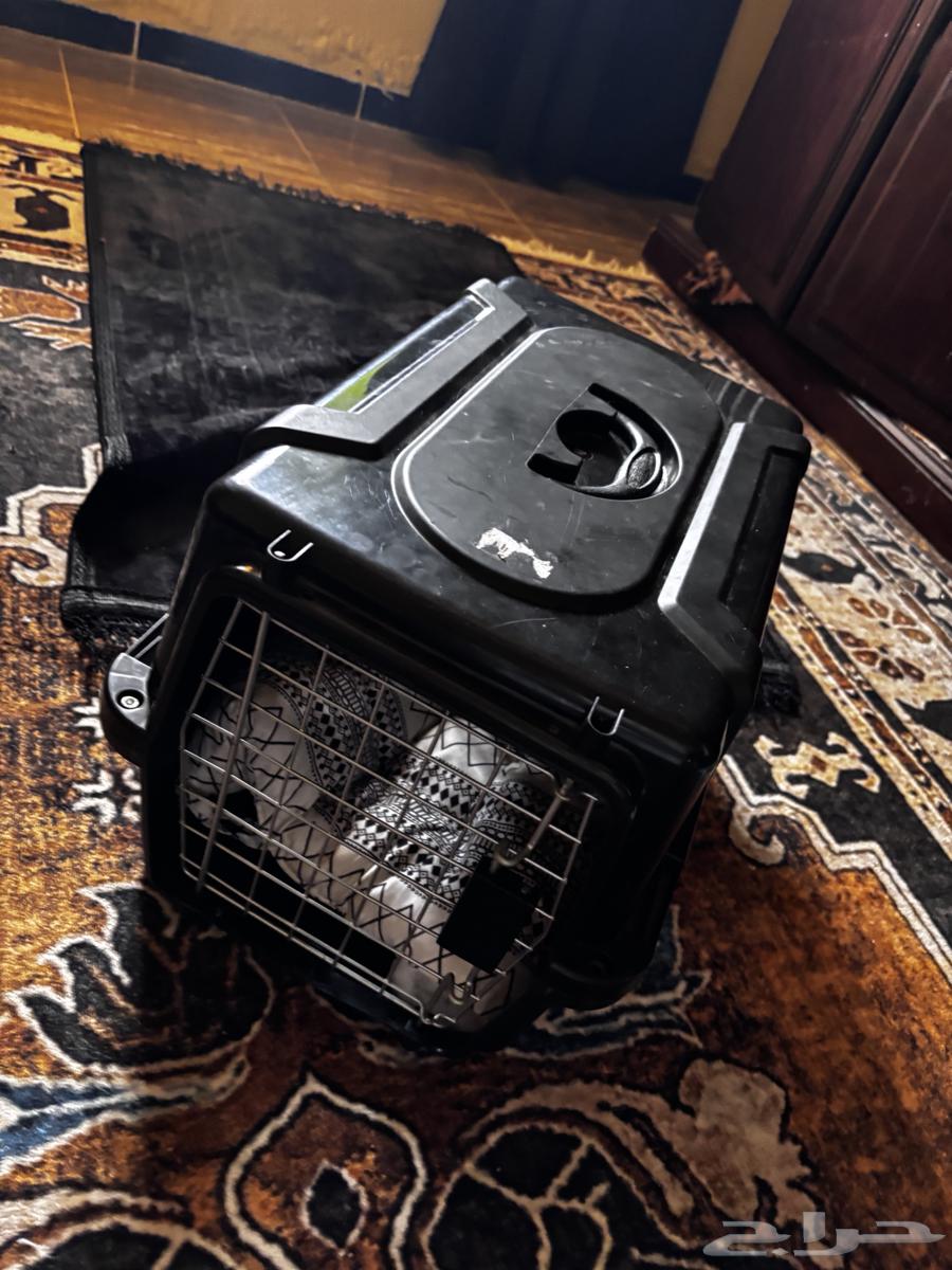 بيت لي البسه و صحن اكل و مويه ولتر بوكس64474251618691112