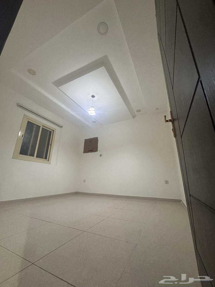 شقة للإيجار