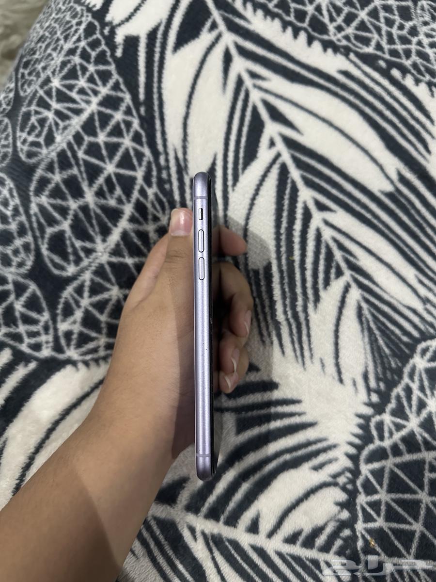 Mohammedia64473106904323114