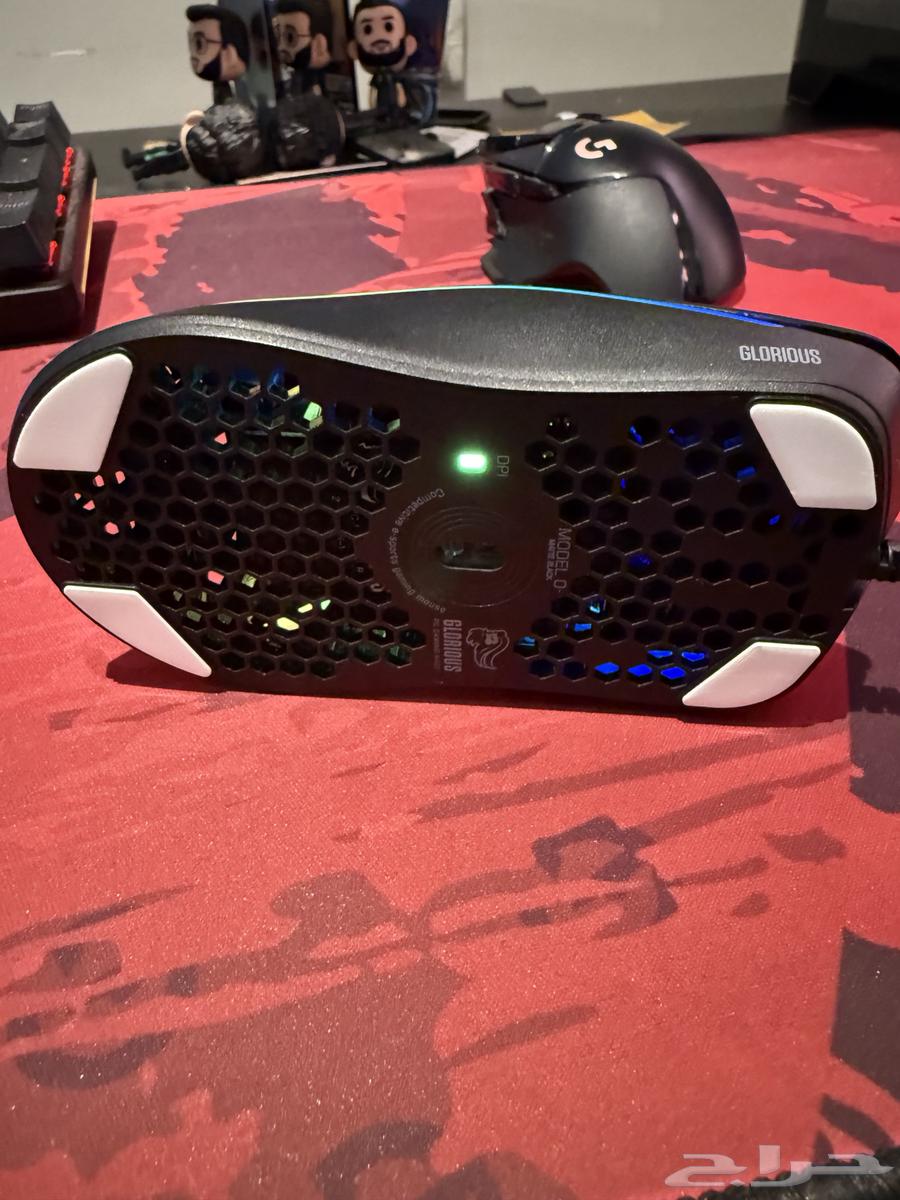 Gloris Mouse64474987894146114