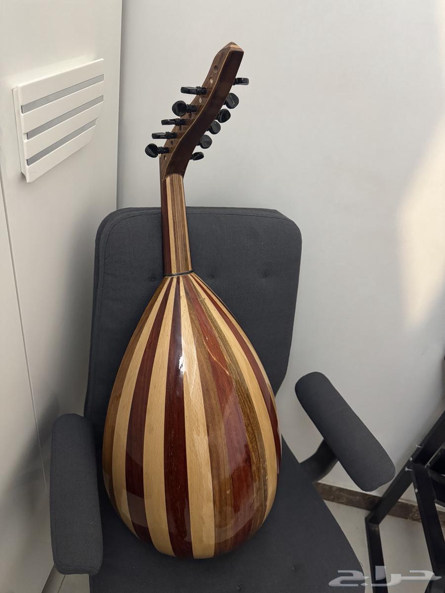 عود ابو عمار نص لوكس64476170614401112