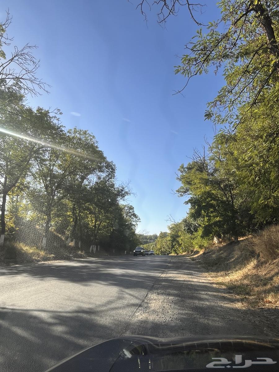 عسل مستورد من جبال وغابات طبيعي 10064476893778691112