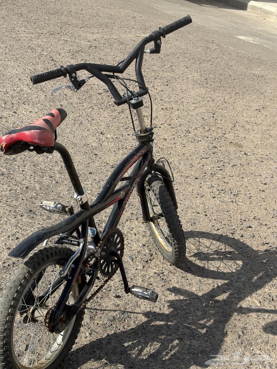 سيكل كوبره للبيع على السوم64475473535106111