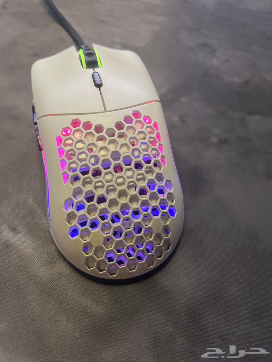 GLORIOUS MODEL -o Mouse64475157081987111