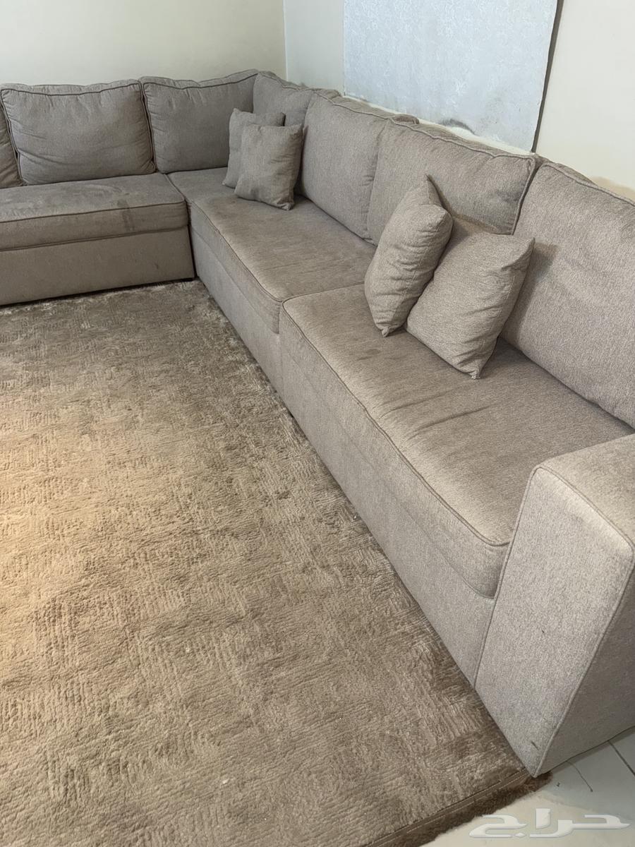 كنب حرف L مع سجاد ب 90064475932377731112