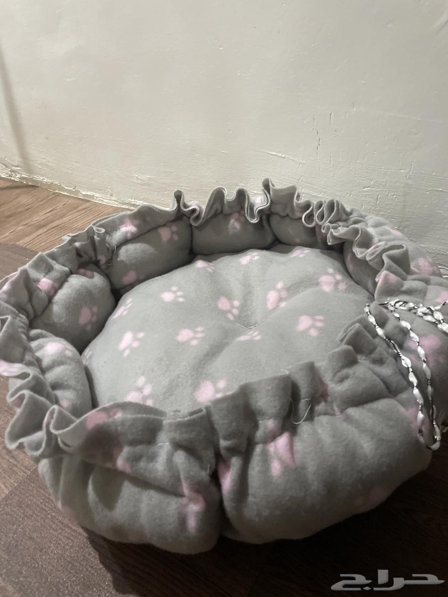 عندي اغراض قطوه جديده للبيع64474917306882110