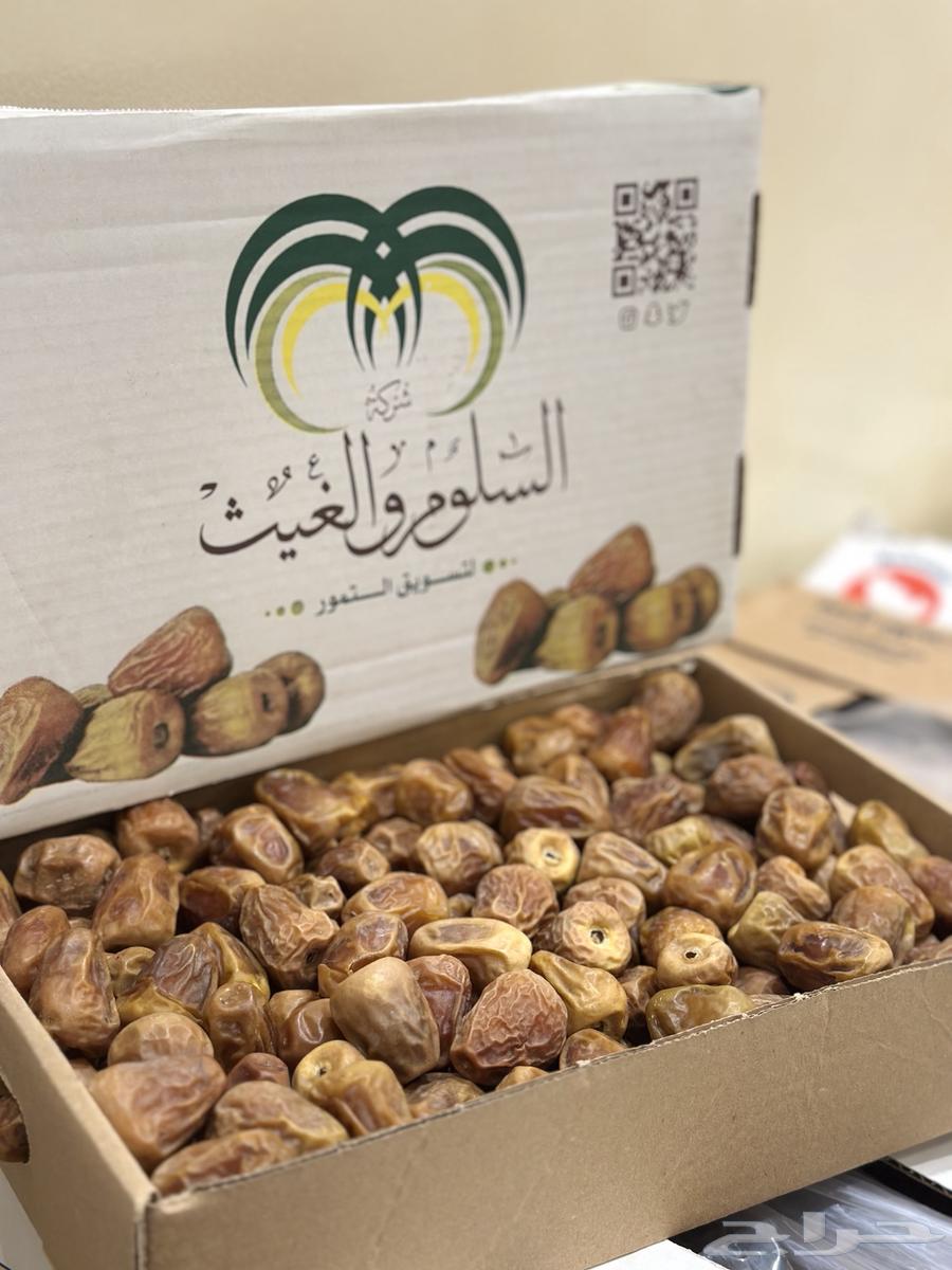 Tamr Sukkari Mafatil64477769550211112