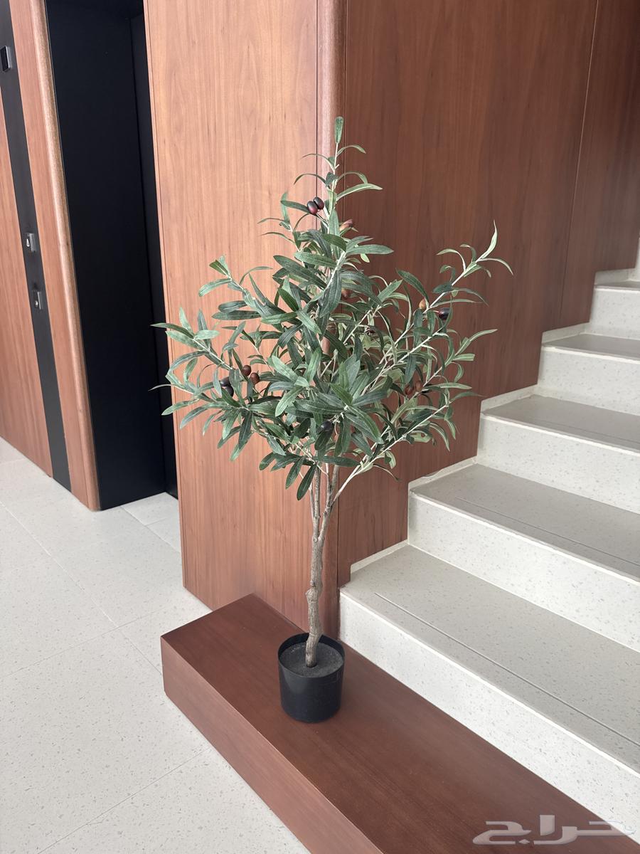 Artificial olive tree64474860637441110
