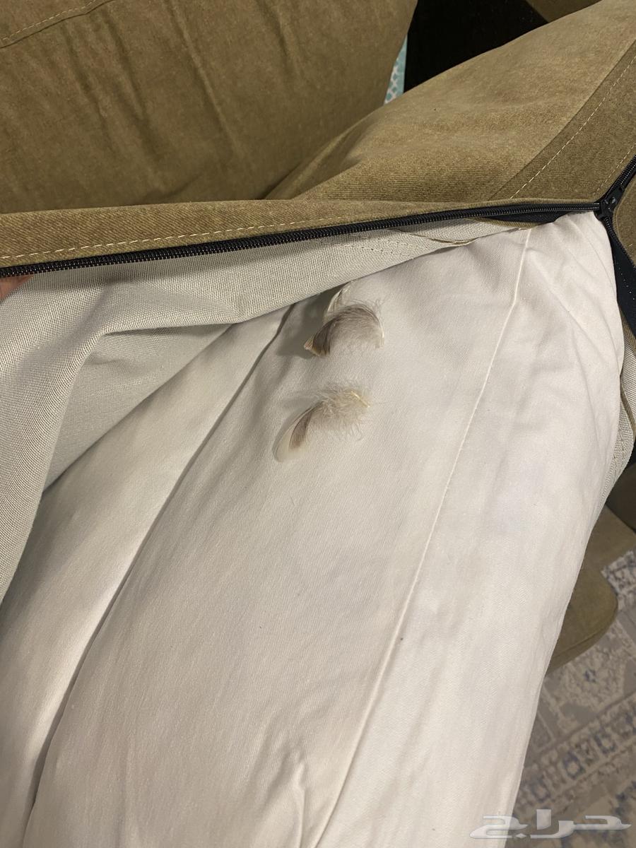 Feather Sofa64473568634753112