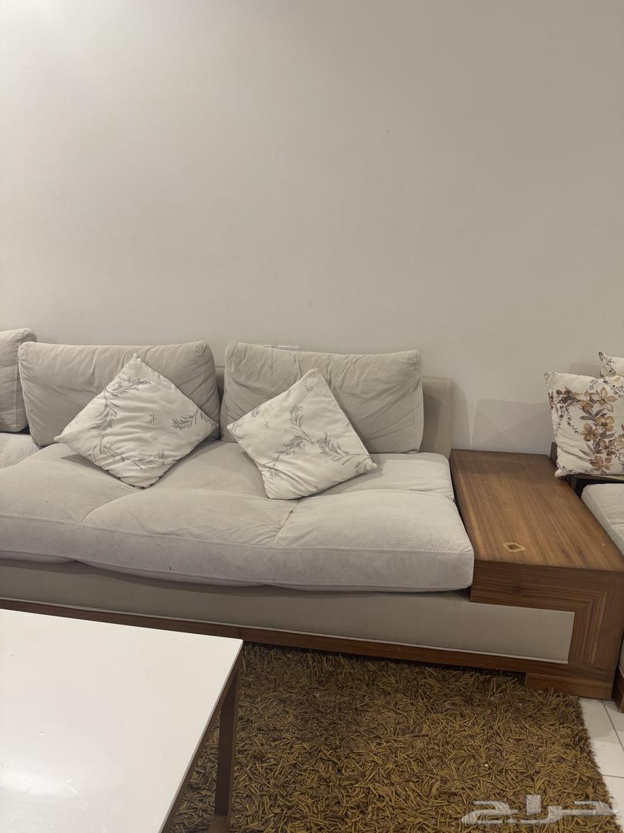 Sofa set, table, carpet, two-layer curtain64478842845570112