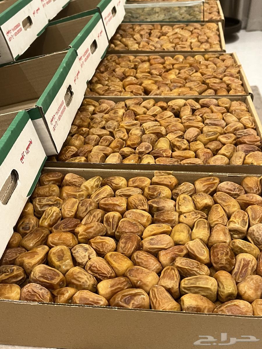 First-grade soft Sukkari dates64472429431426111