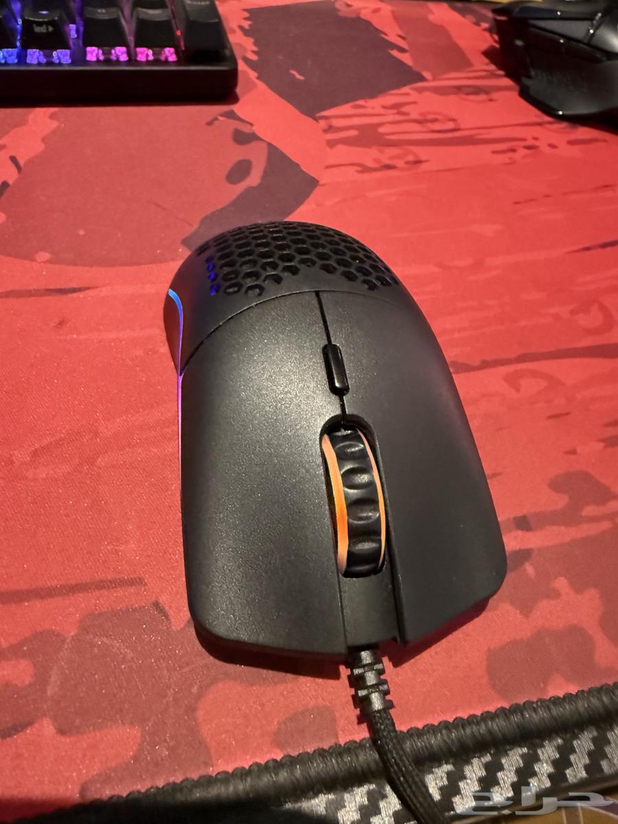 Gloris Mouse64474987894146110