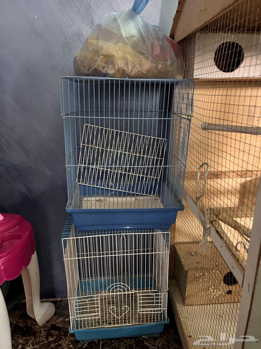 قفص طيور كبير64475584480003112