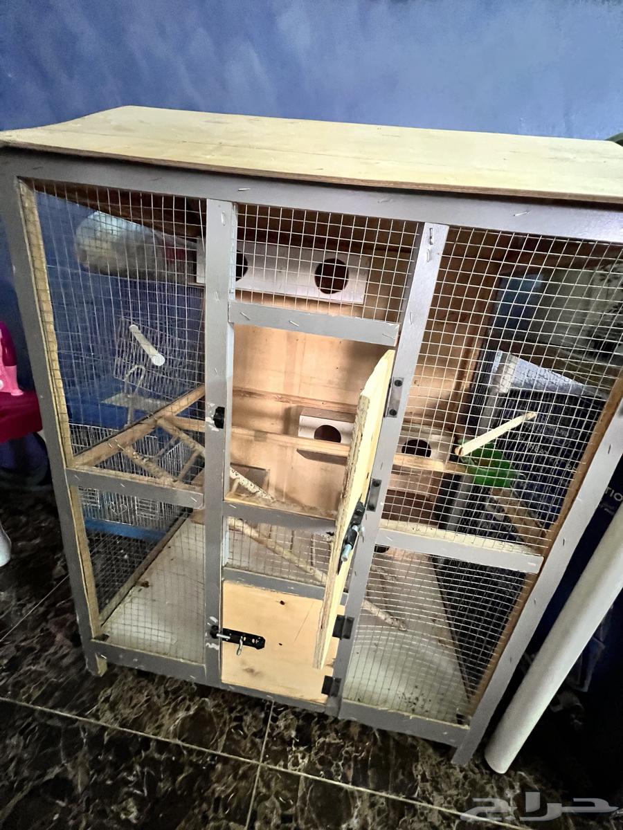 قفص طيور كبير64475584480003111