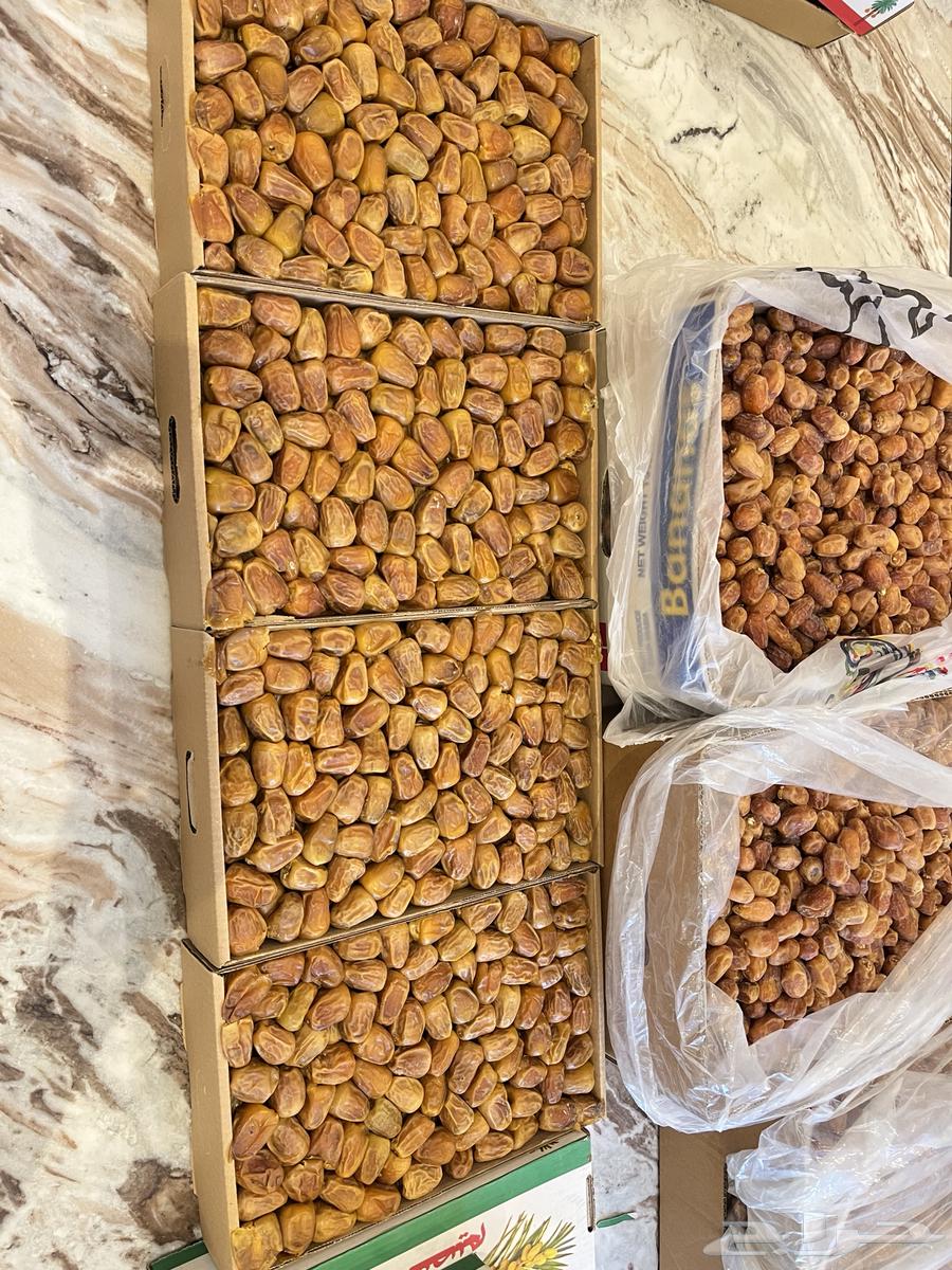 First-grade soft Sukkari dates64472429431426112