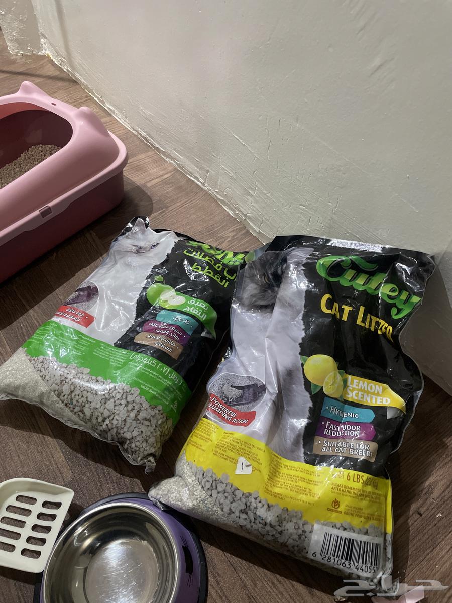 عندي اغراض قطوه جديده للبيع64474917306882112