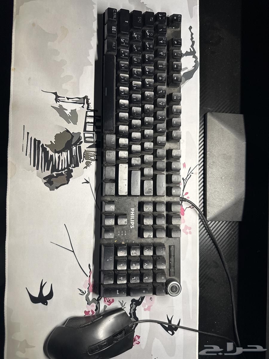 ماوس وكيبورد philips64473758923395110