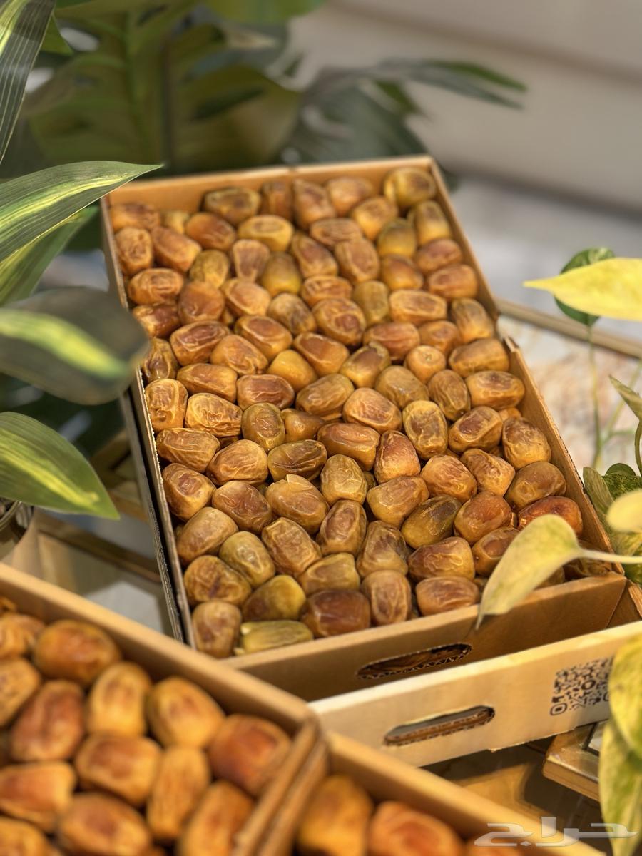 سكري القصيم من المزرعة مباشرة رقم واحد حبه كبيرة مميز64478388708099114