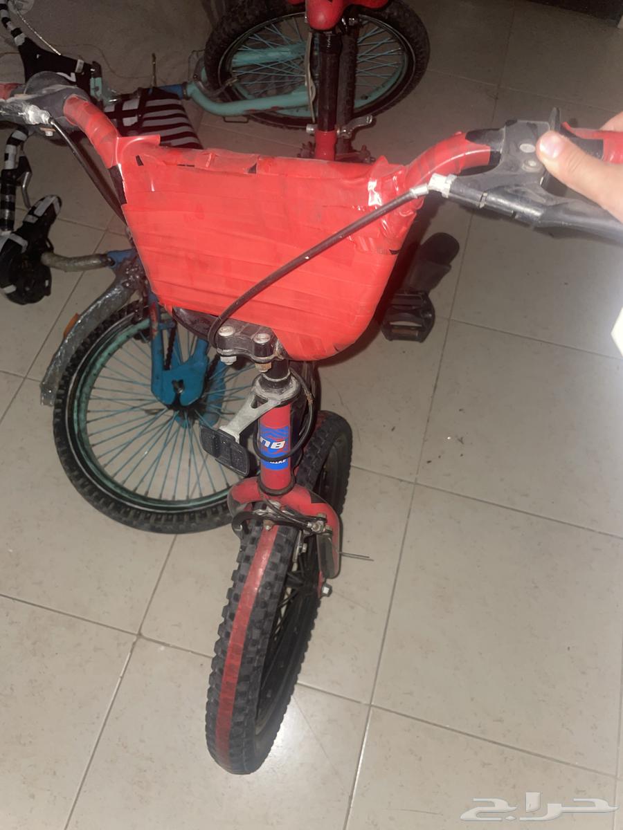 Modified red and light blue bicycle64476670910339112