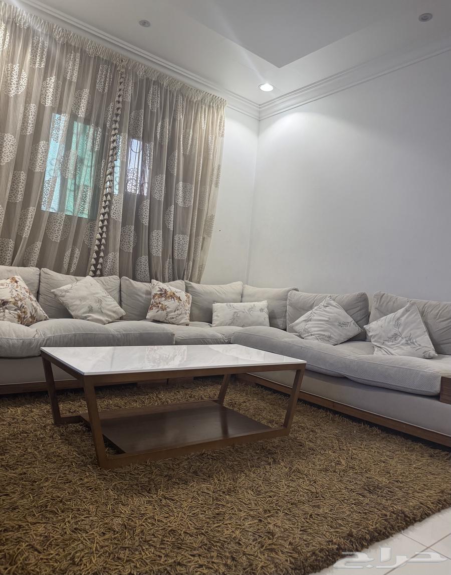 Sofa set, table, carpet, two-layer curtain64478842845570110