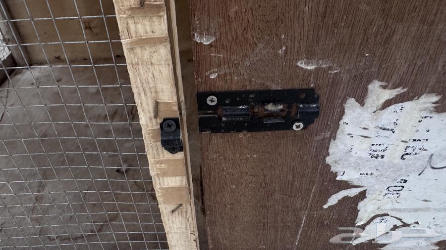 Rabbit Hutch64476545257987111