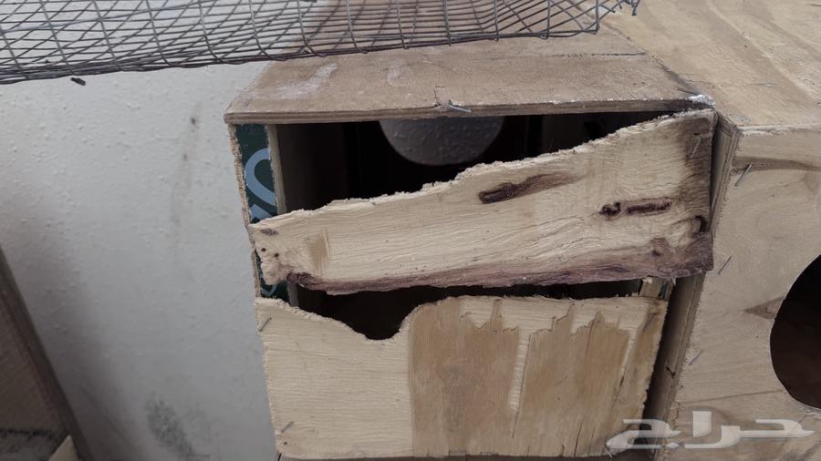 Rabbit Hutch64476545257987113