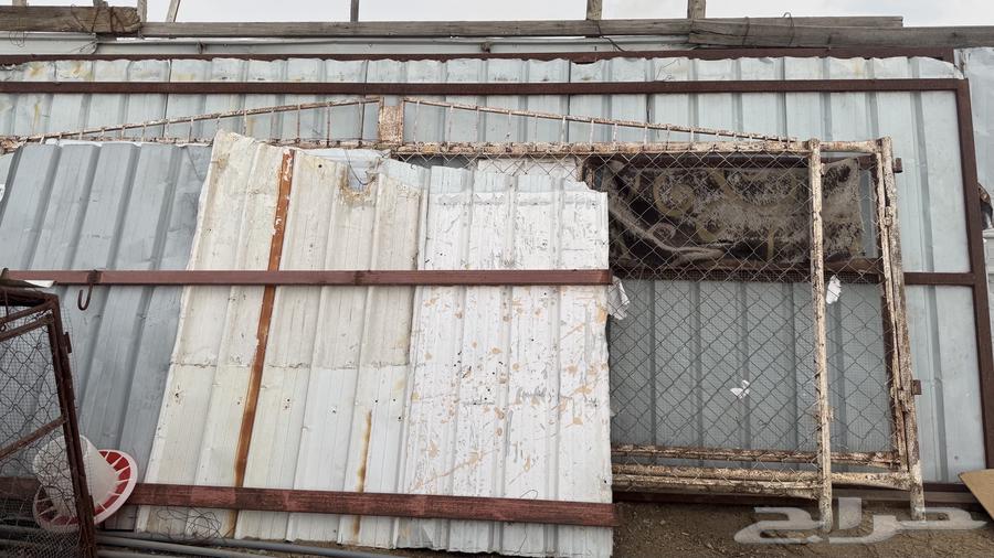 There are five pens suitable for sheep, pigeons, and decorative birds64472352660739112