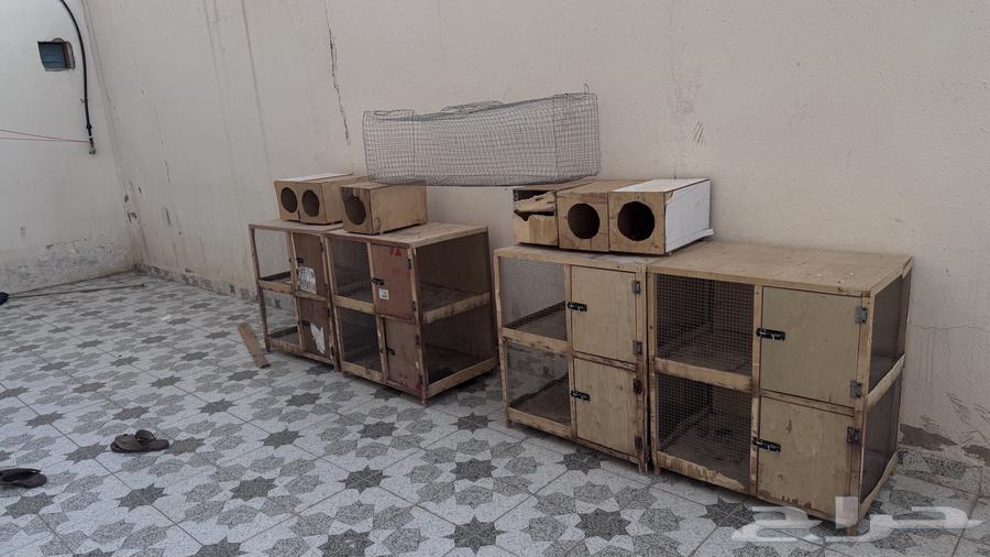 Rabbit Hutch64476545257987110