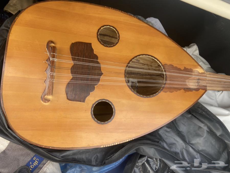 عود للبيع64498882131970110