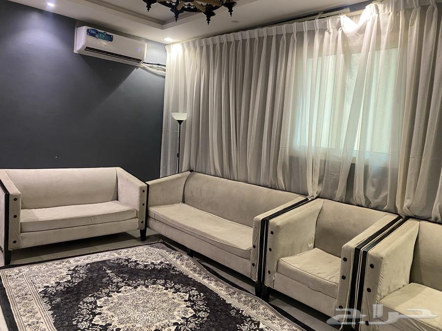 Blog Sofa with 300 Cushions64475556843011110