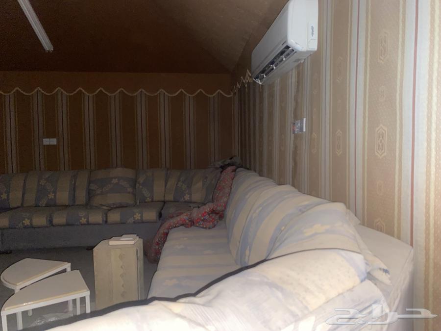 خيمه للبيع64448726852097114