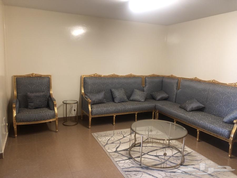 His brother's new sofa is very clean and has not been used64475418580866111