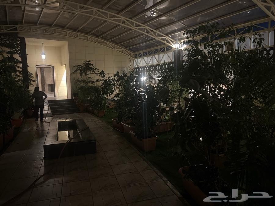 اشجار طبيعيه من مطعم64477838887041112