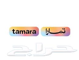 Modified Nintendo Switch Lite Taby and Tamara with Modifications64472522730371112