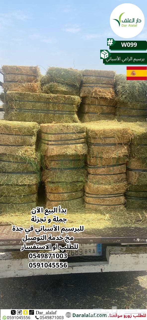 برسيم اسباني في جدة  264473680770562111