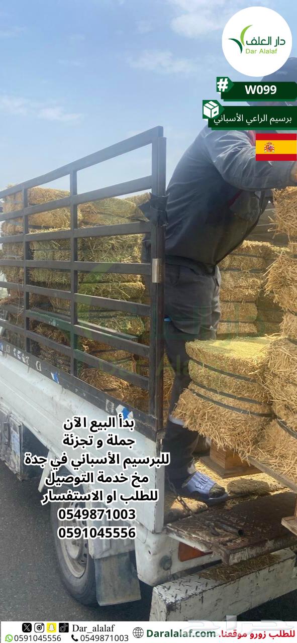 برسيم اسباني في جدة  264473680770562110