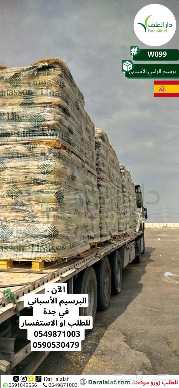 برسيم اسباني في جدة  264473680770562114