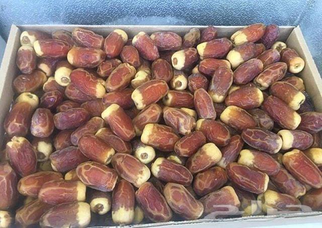 عجوة صفاوي مبروم صقعي مجدول64474818590083113