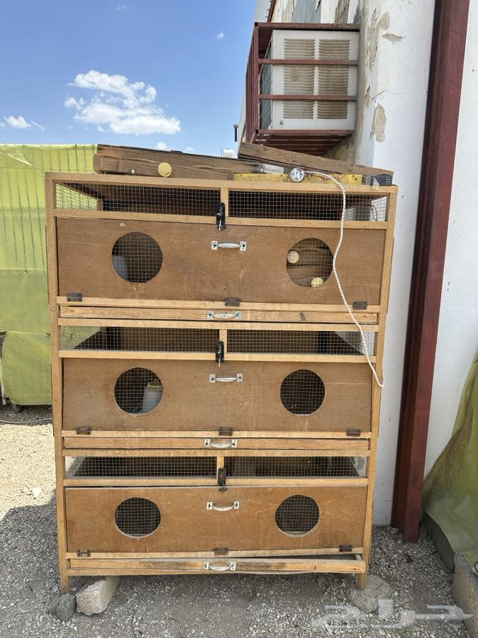 Bird incubator or bird net64473916969219110