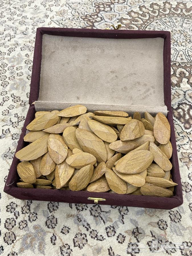 عود مروكي للبيع نظيف جد ا وناهي للغايه64477894266498111