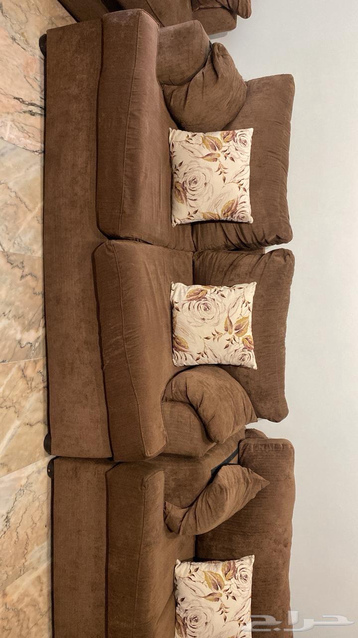 كنب بجده حي البوادي64475101973635110