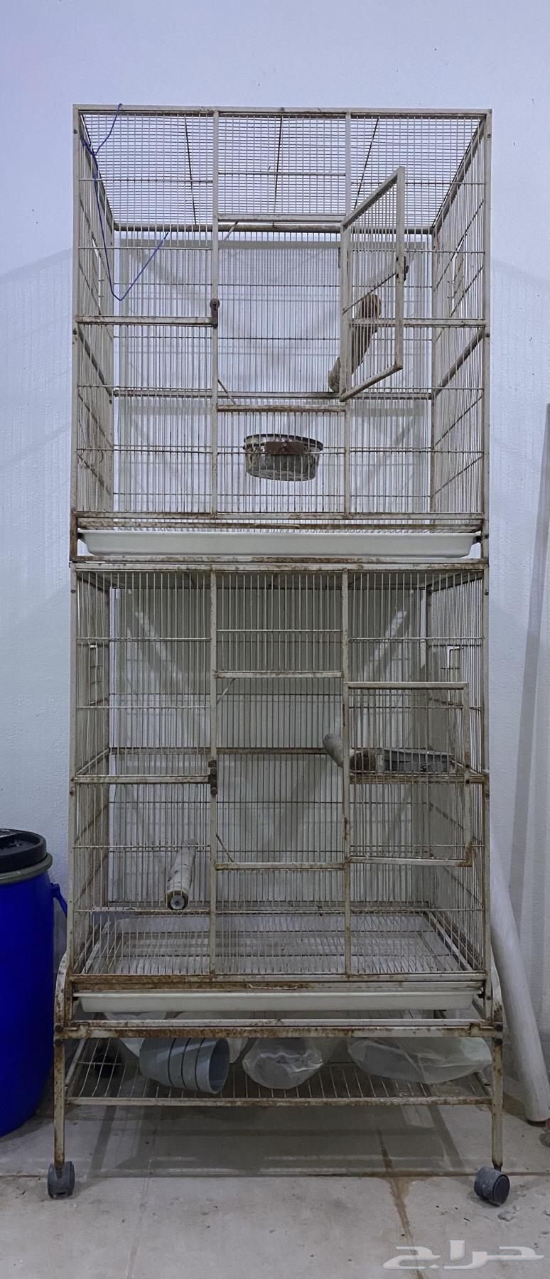 قفص طيور مميز64472522824321110