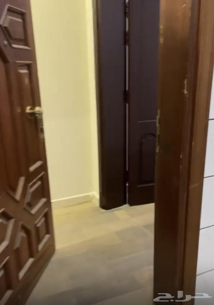 شقة للإيجار