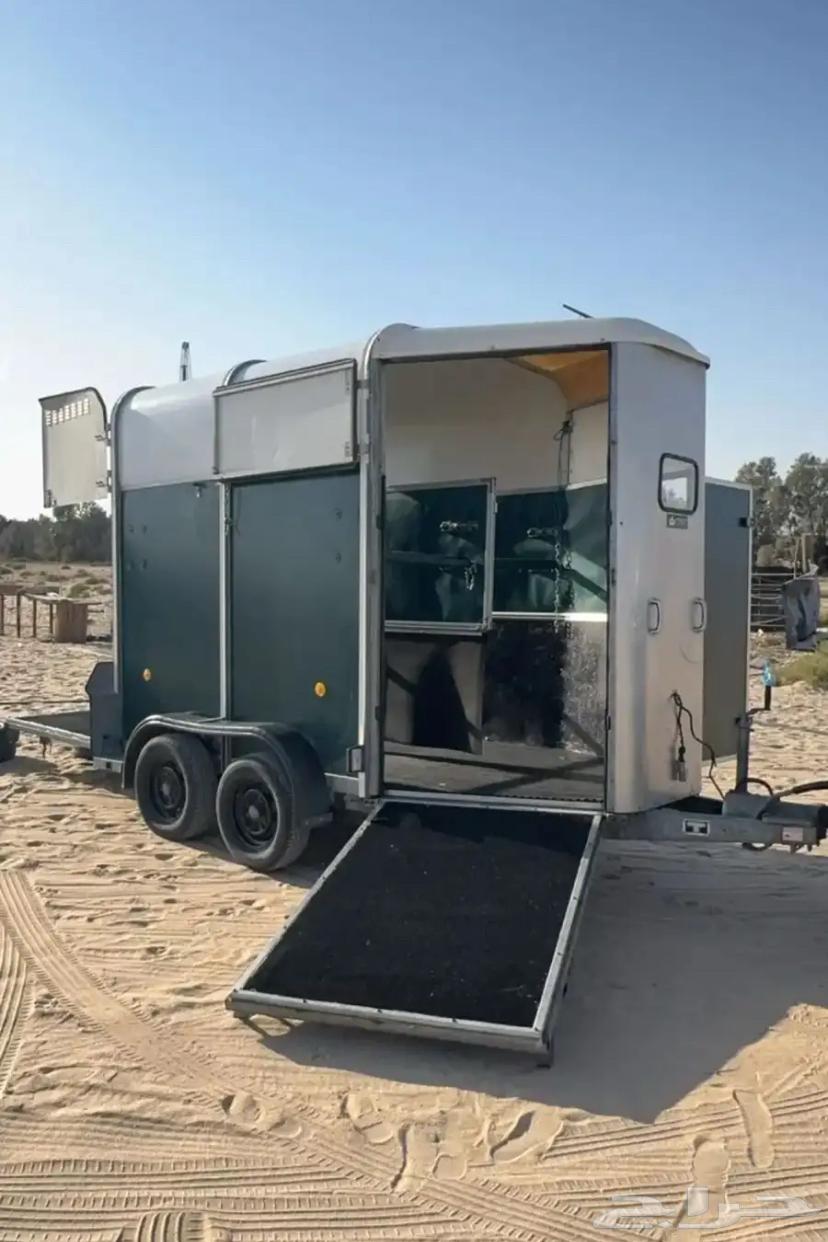 عربة نقل خيل64146513639299112