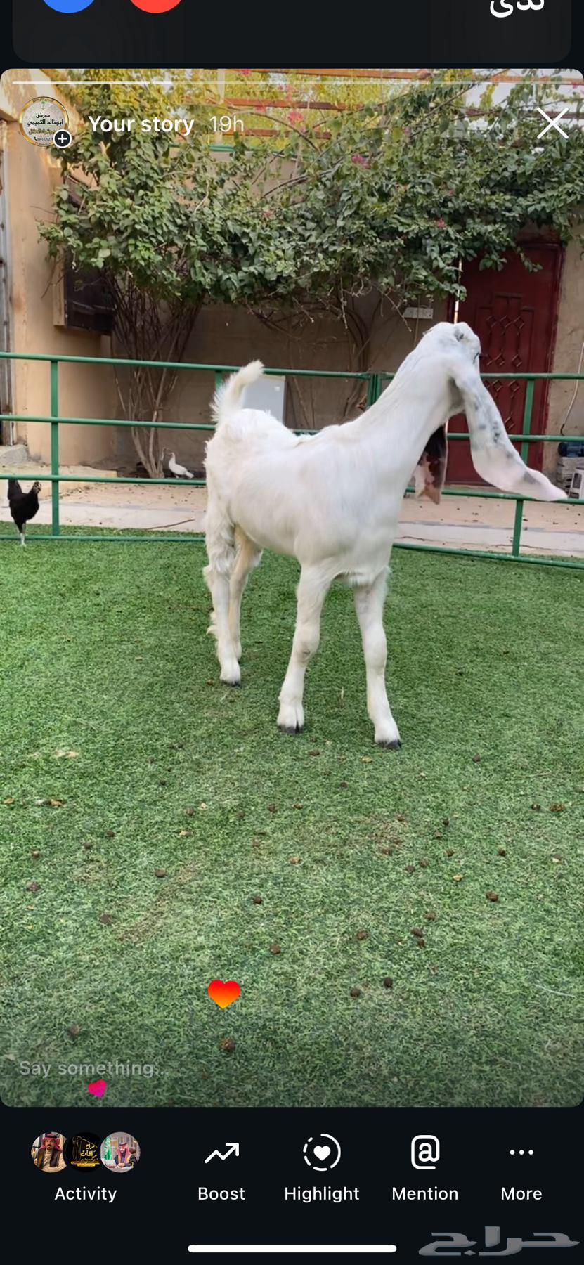 Jafrah Developer64472686048001111