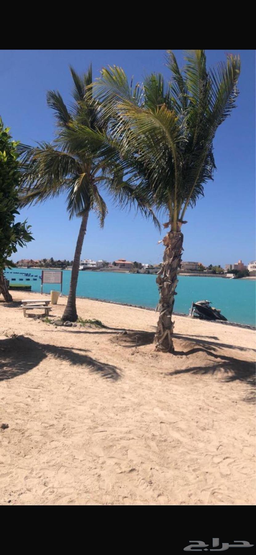 Durrat Al-'Arusa Villas or Beach Chalets on Public or Private Beaches64142985082499110