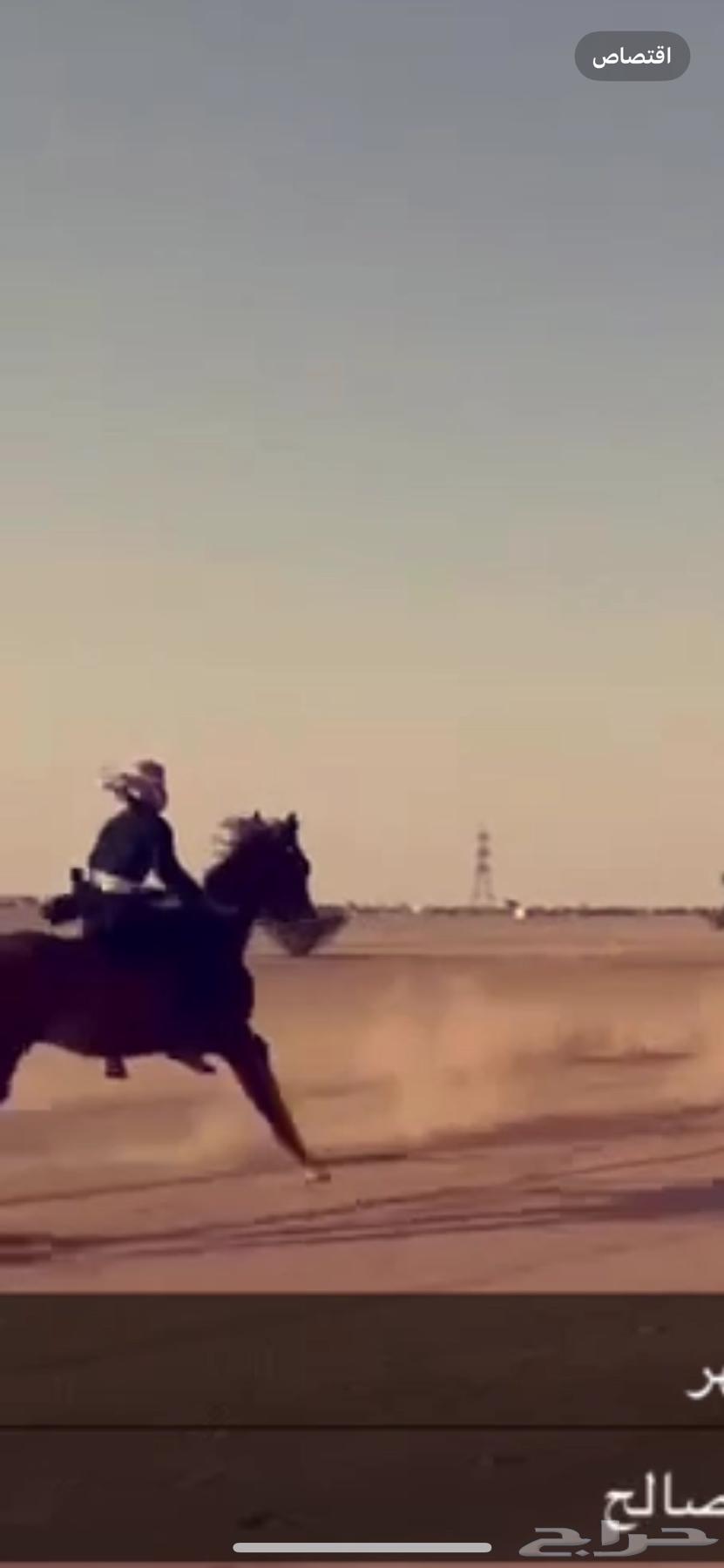 إحصان للبيع64472816582018112