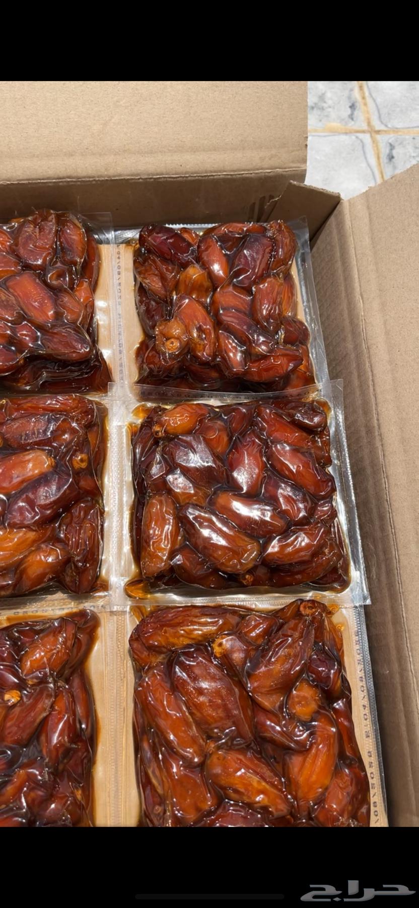 تمر صفري بيشه الجعبه64474315116929111